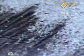 Тест очистителей кондиционера авто